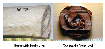 Toolmarks in bone