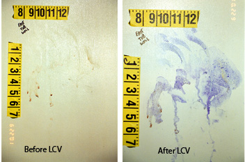 Bloody handprint presented at trial